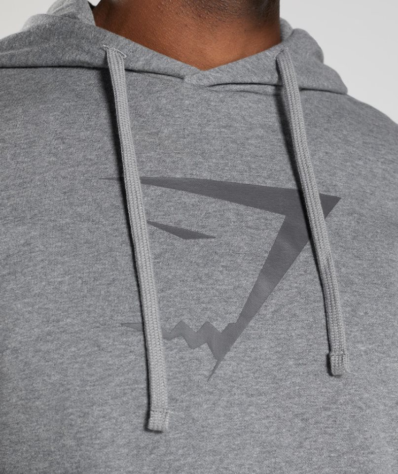 Men's Gymshark Sharkhead Infill Hoodie Grey | NZ 2BFPAZ